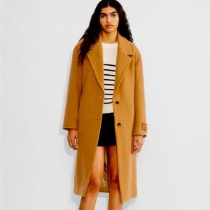 The Only Coat by Wilfred from Aritzia. Small. Great Condition.